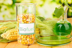 Netton biofuel availability