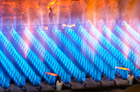 Netton gas fired boilers